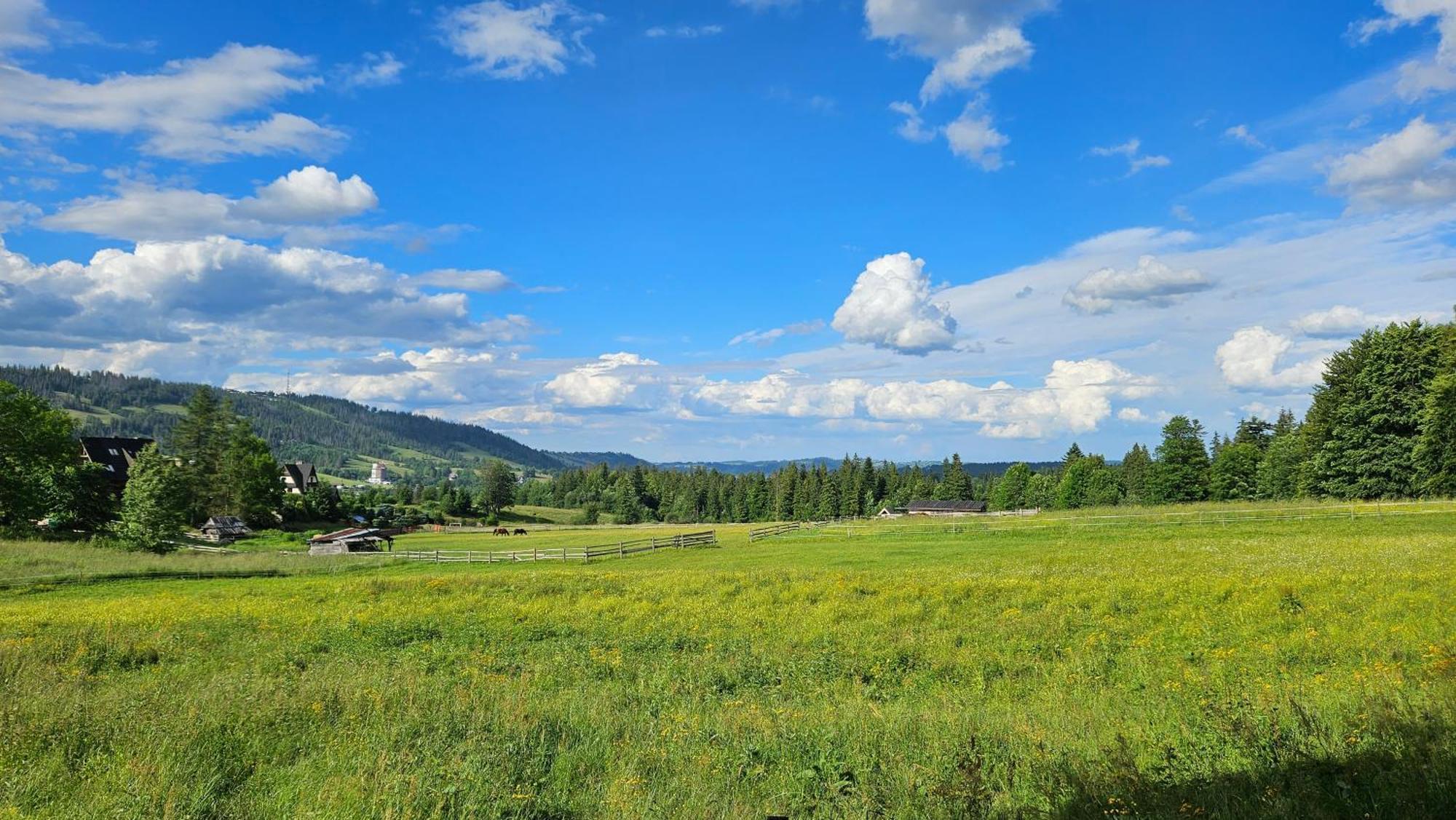 Kalinowka Koscieliskoアパートメント エクステリア 写真